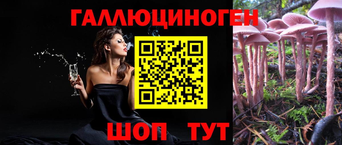Галлюциногенные грибы MAGIC MUSHROOMS  Вход с VPN  Железноводск  Галлюциногенные грибы Cubensis 